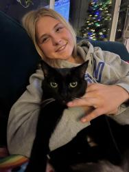 Lost Female Cat last seen Scripps Poway pkwy and Old Pomerado Rd, Poway, CA 92064