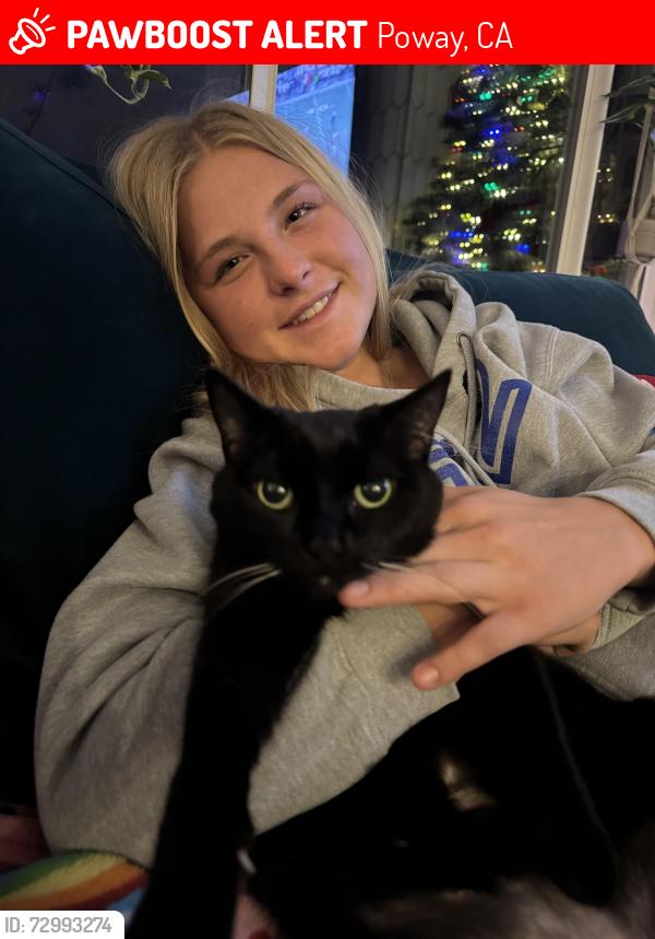Lost Female Cat last seen Scripps Poway pkwy and Old Pomerado Rd, Poway, CA 92064