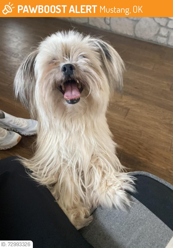 Found/Stray Unknown Dog last seen Sara and 59th, Mustang, OK 73064