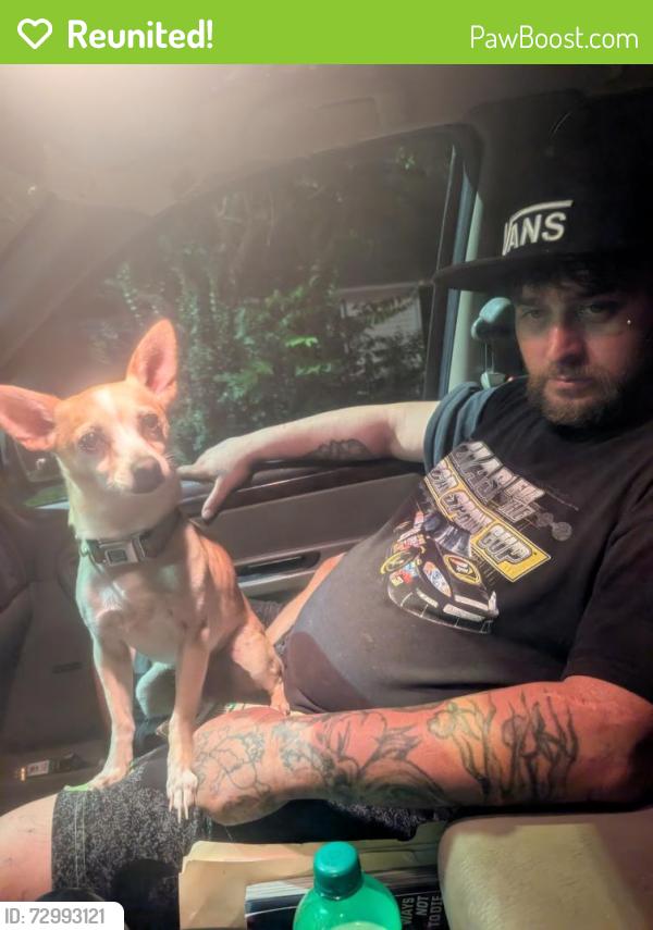 Reunited Male Dog last seen On union rd near omnimart and subway or don pedros, Gastonia, NC 28056