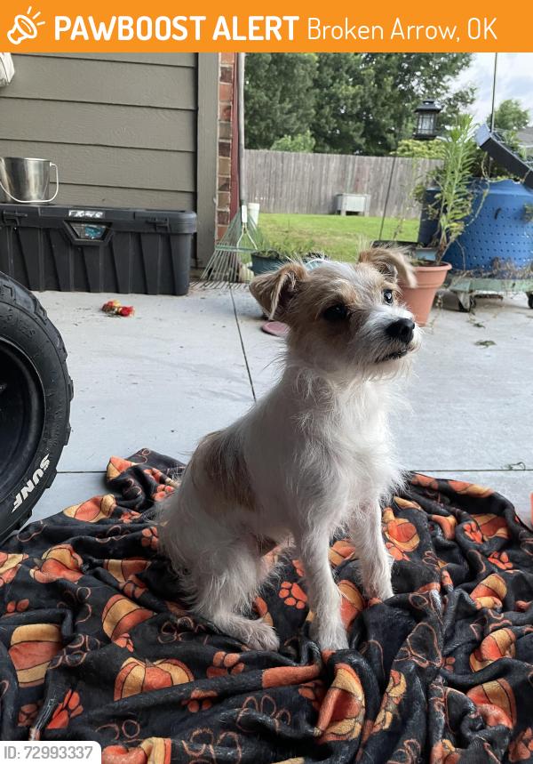 Found/Stray Male Dog last seen 193rd & 51st, Broken Arrow, OK 74014