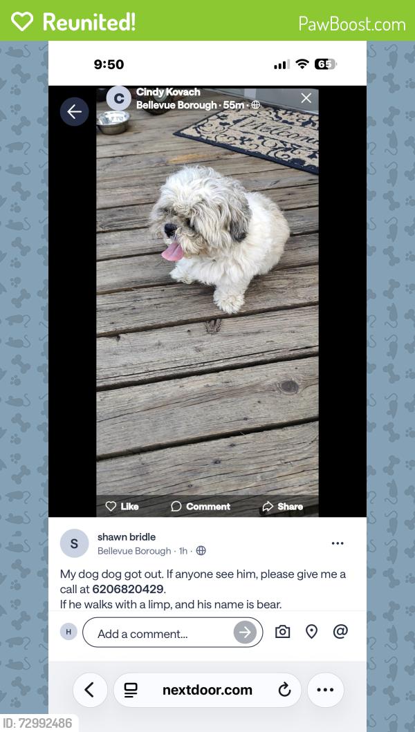 Reunited Male Dog last seen Orchard , Pittsburgh, PA 15202