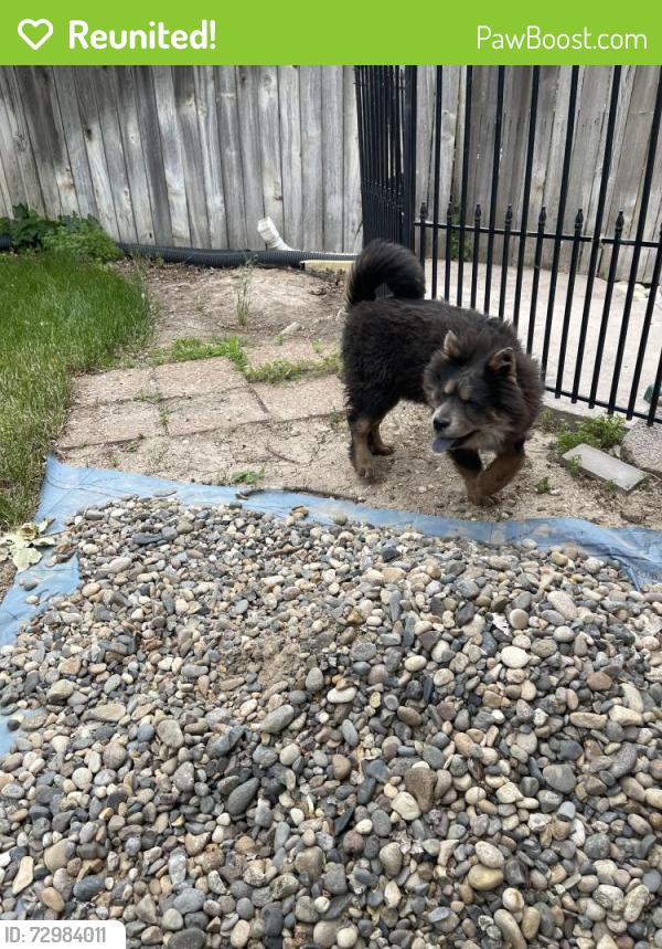 Reunited Male Dog last seen Orchard and Farmway , Caldwell, ID 83607