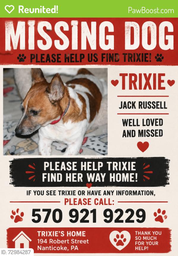 Reunited Female Dog last seen Robert Street , Nanticoke, PA 18634