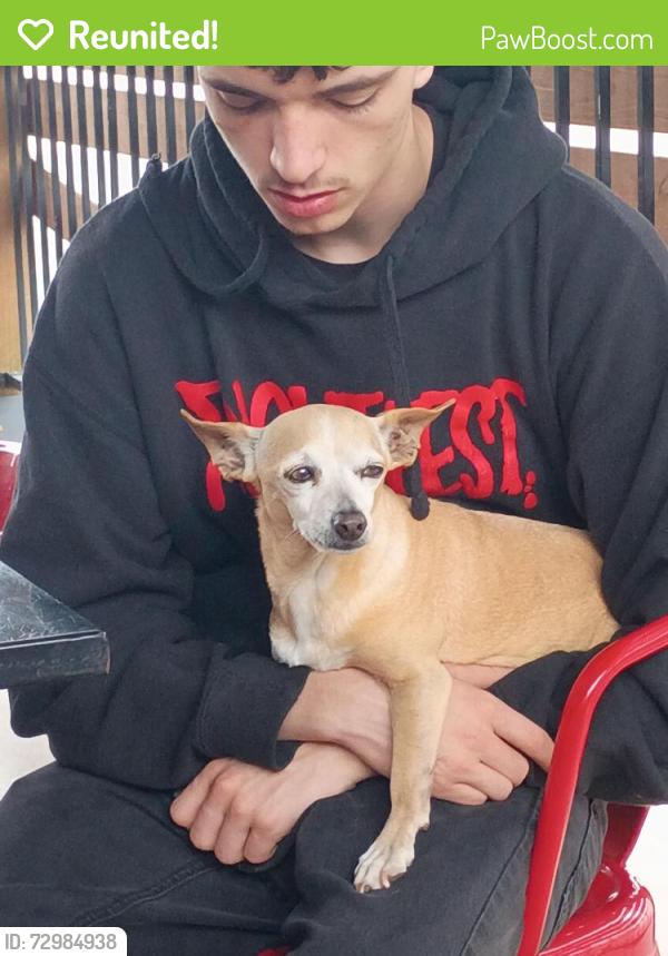 Reunited Male Dog last seen N Beard and independence , Shawnee, OK 74801