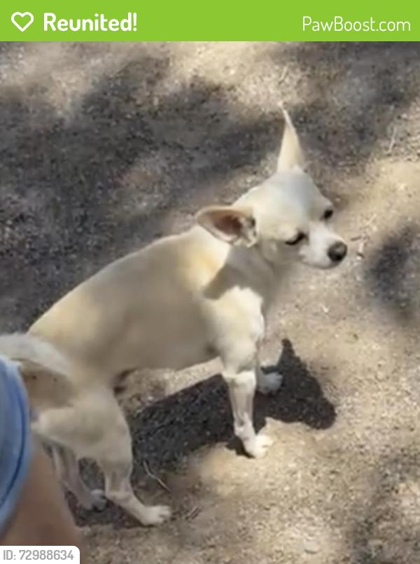 Reunited Male Dog last seen SW Agnew, Oklahoma City, OK 73108