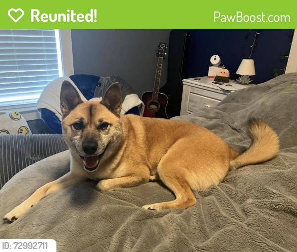 Reunited Male Dog last seen William Smith & bunchgrass st, Evans, GA 30809