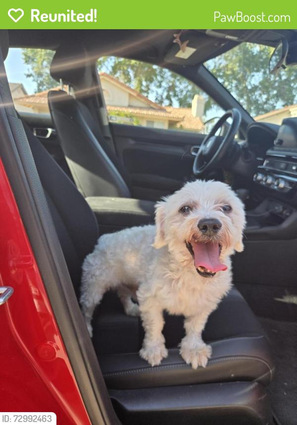 Reunited Male Dog last seen S Waterman Ave & Commercial Rd, San Bernardino, CA 92408