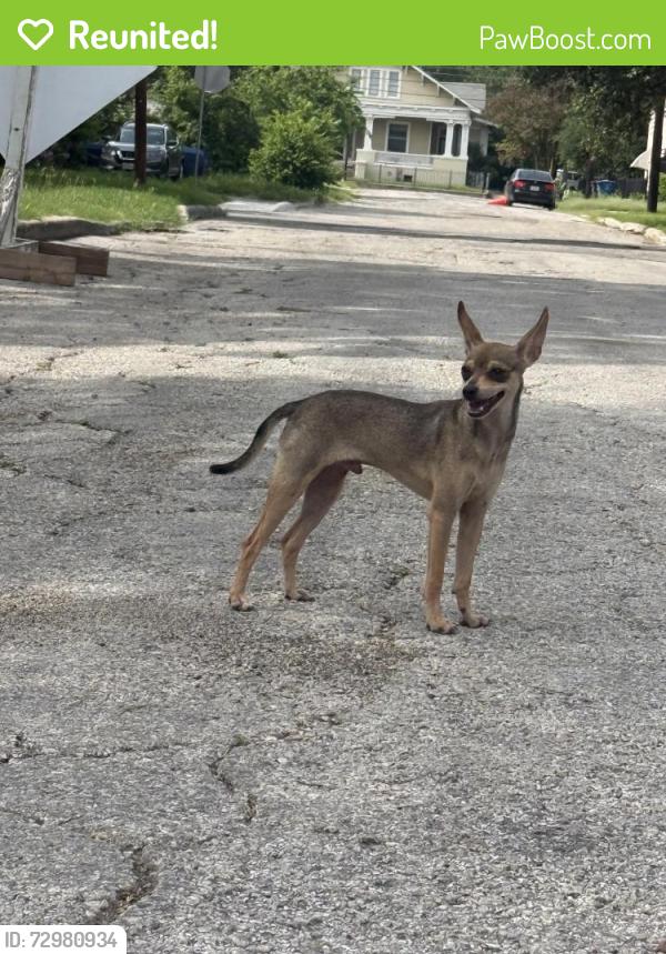 Reunited Male Dog last seen Kendall, San Antonio, TX 78212
