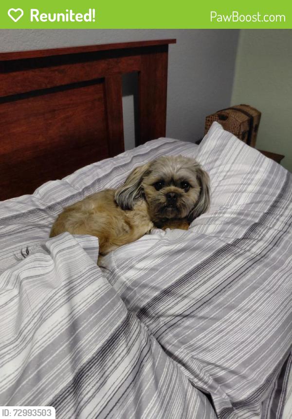 Reunited Male Dog last seen Near Sunken Valley Dr, Nampa, ID 83687, USA, Nampa, ID 83687