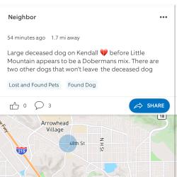 Found/Stray Unknown Dog last seen 48th and Kendall , San Bernardino, CA 92407