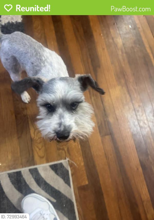 Reunited Male Dog last seen Near N L St, Pensacola, FL 32502, USA, Pensacola, FL 32502