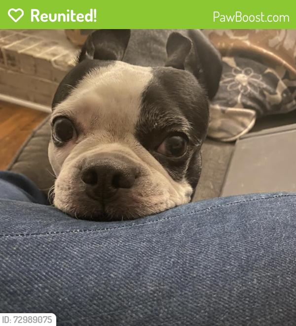 Reunited Female Dog last seen Peachtree Road , Rock Hill, SC 29730