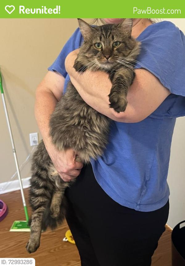 Reunited Male Cat last seen Se 24th St and 3rd Ave, Ocala, FL 34471