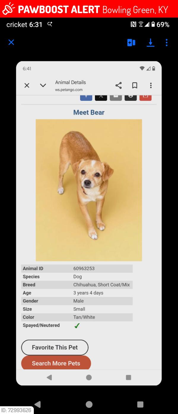 Lost Male Dog last seen Near scottsville road , Bowling Green, KY 42104