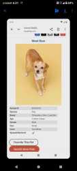 Lost Male Dog last seen Near scottsville road, Bowling Green, KY 42104
