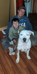 Lost Male Dog last seen Troy road, Burnham, ME 04922