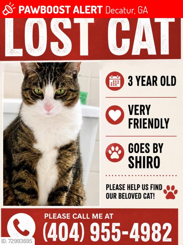 Lost Male Cat last seen Macfee , Decatur, GA 30032