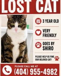 Lost Male Cat last seen Macfee , Decatur, GA 30032