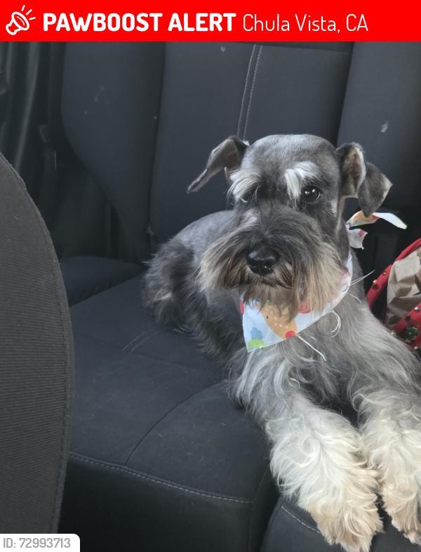 Lost Female Dog last seen Helix way , Chula Vista, CA 91911