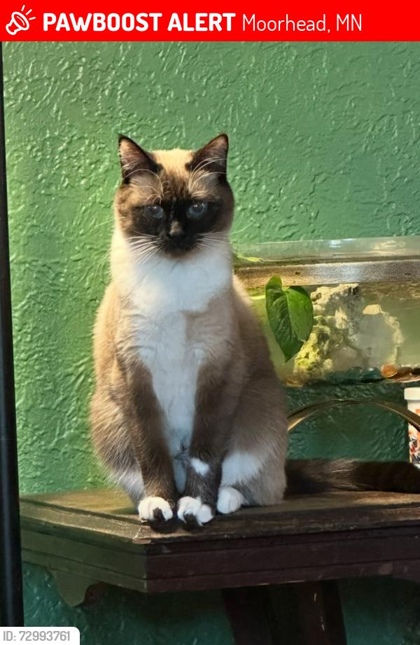Lost Female Cat last seen Concordia , Moorhead, MN 56560