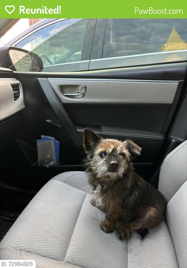Reunited Female Dog last seen Burnett ferry and Robinson ave sw, Rome, GA 30165
