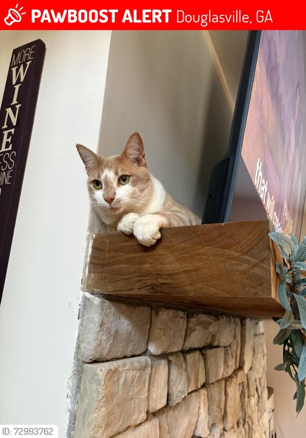 Lost Male Cat last seen Douglas Oaks Animal hosp/woods across Hwy 5, Douglasville, GA 30135