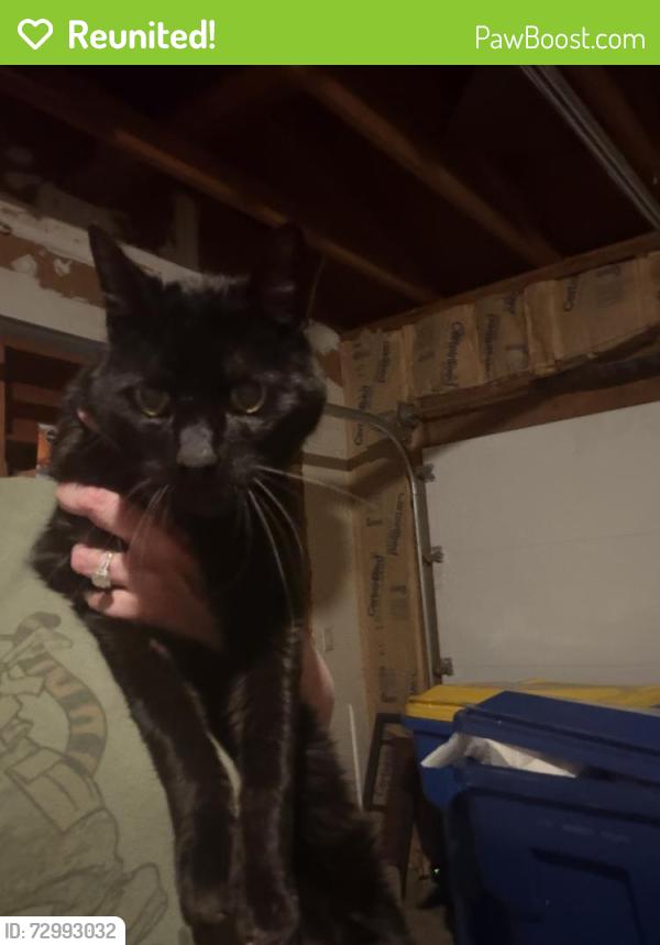 Reunited Male Cat last seen 49th and Teakwood Ave, Sioux Falls, SD 57103