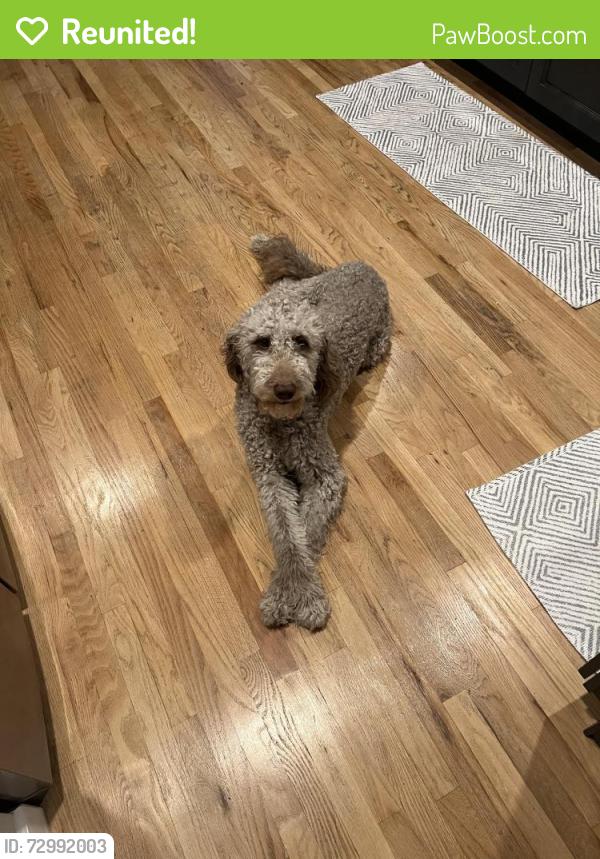 Reunited Male Dog last seen At home- on Eagle Bend Road 2 min. from Jaycee Park, Clinton, TN 37716