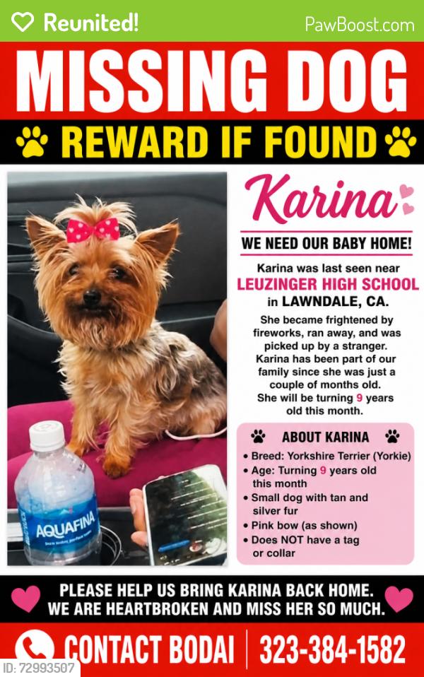 Reunited Female Dog last seen Rosecrans & Avis , Lawndale, CA 90260