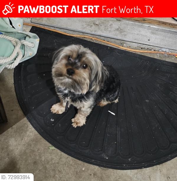 Lost Male Dog last seen Cascade Canyon Trl and Battle Mountain in the Trails of Marine Creek Neighborhood , Fort Worth, TX 76179