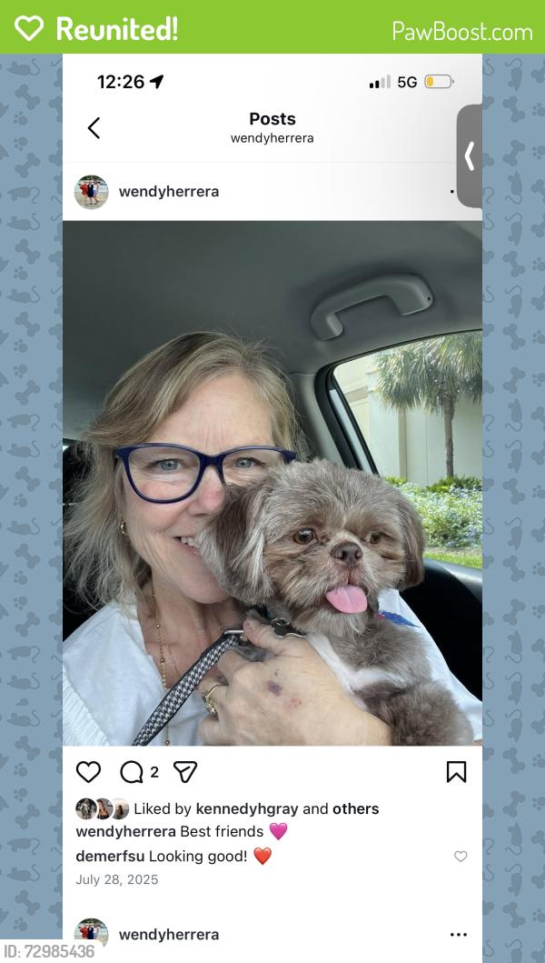 Reunited Male Dog last seen Lake underhill , Orlando, FL 32807