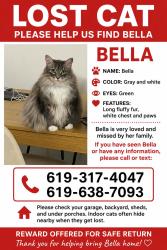 Lost Female Cat last seen Beaver lake dr, San Diego, CA 92119