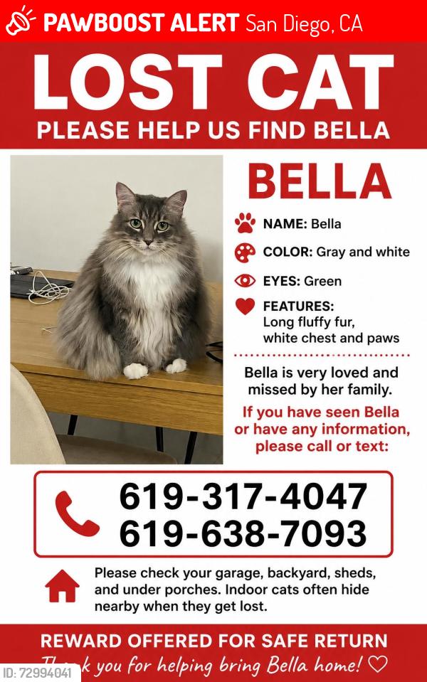 Lost Female Cat last seen Beaver lake dr, San Diego, CA 92119