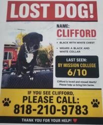 Reunited Male Dog last seen Harding St and Cranston Ave, Los Angeles, CA 91342