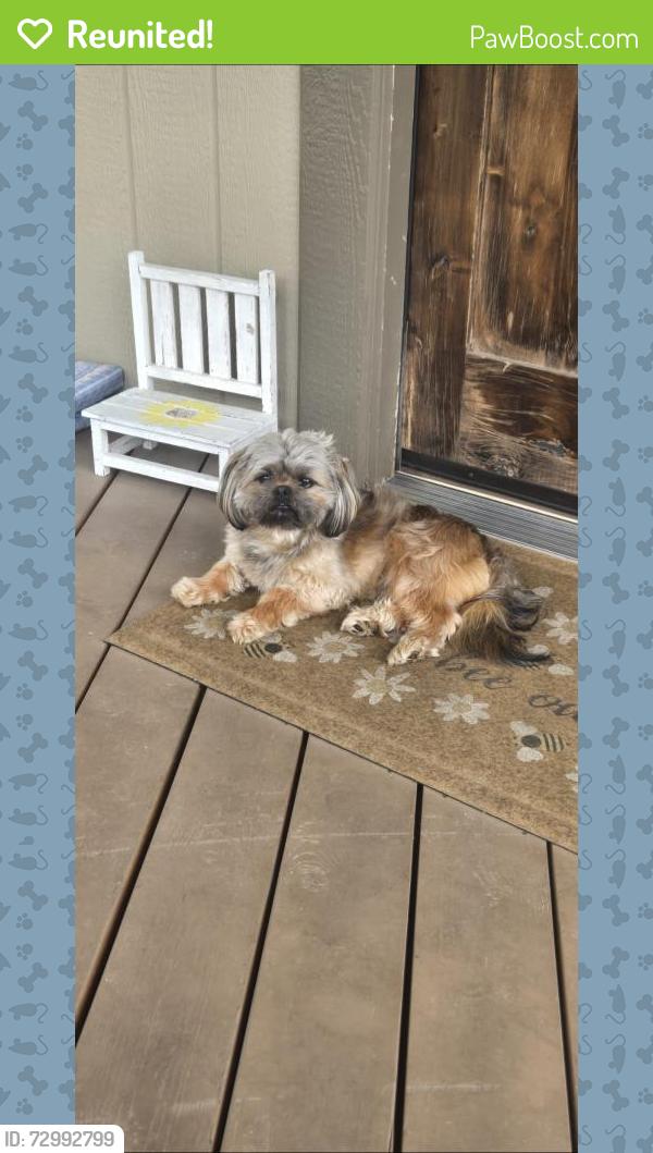Reunited Male Dog last seen Sunken valley drive , Nampa, ID 83687