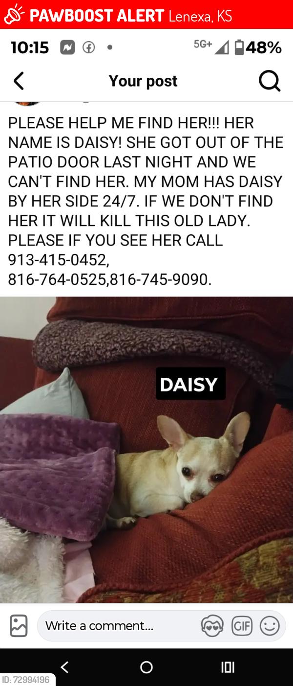 Lost Female Dog last seen 95th and Quivira, Wilder apmts , Lenexa, KS 66215