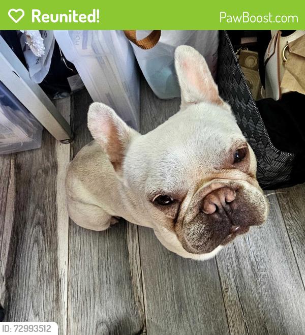Reunited Unknown Dog last seen Gears rd ,TC jester,and Hugh road, zip code77067, Houston, TX 77067