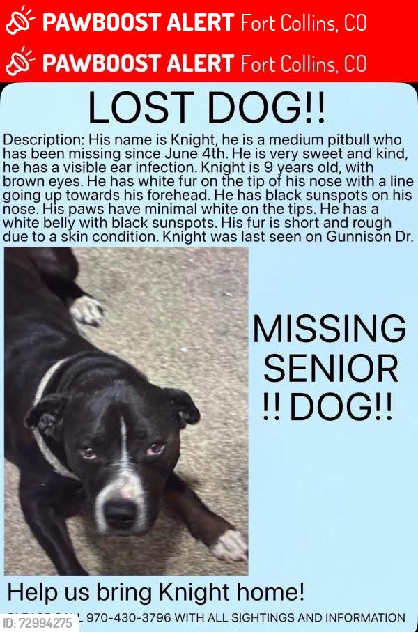 Lost Male Dog last seen Gunnison dr, Fort Collins, CO 80526