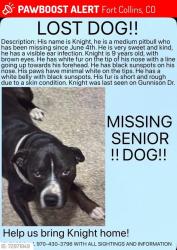 Lost Male Dog last seen Gunnison dr, Fort Collins, CO 80526