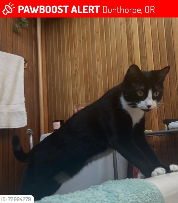 Lost Female Cat last seen Near S Military Pl, Dunthorpe, OR 97222