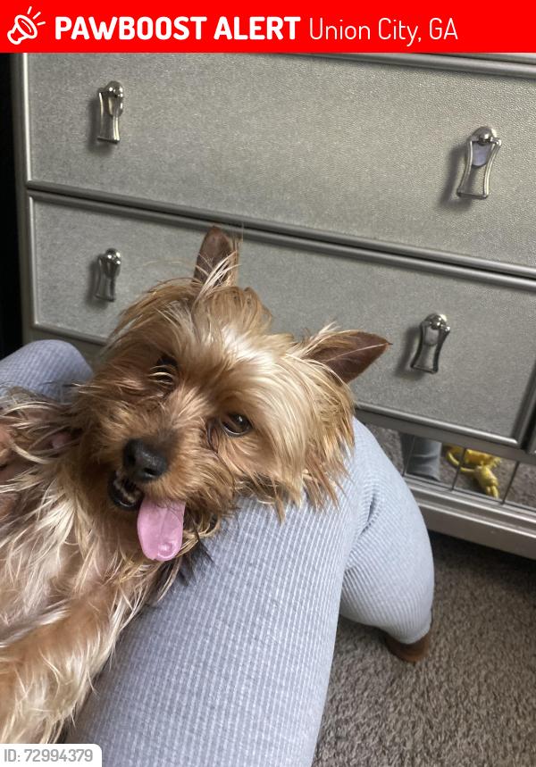 Lost Male Dog last seen Shoals Ln, Union city GA, Union City, GA 30291