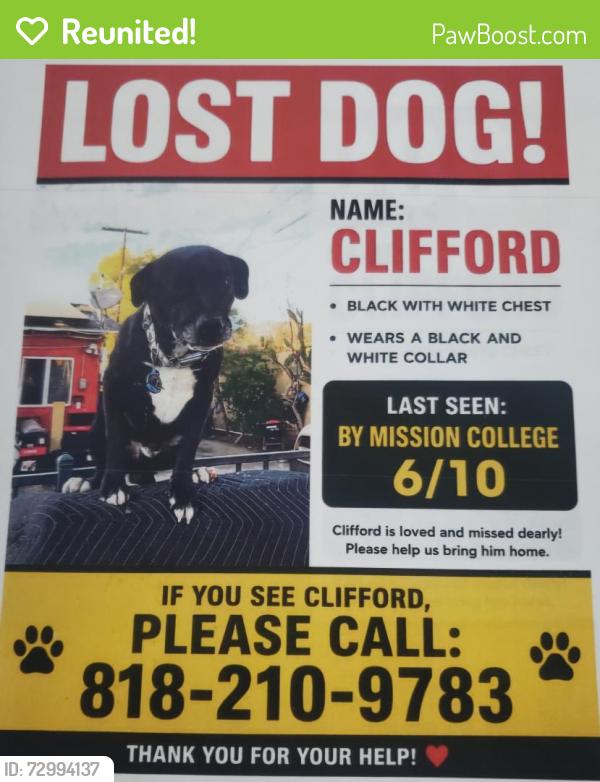 Reunited Male Dog last seen Harding St and Cranston Ave, Los Angeles, CA 91342
