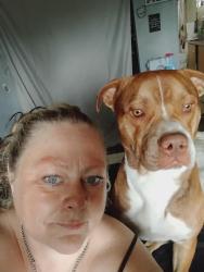 Lost Male Dog last seen Rex rd, Oroville, CA 95966