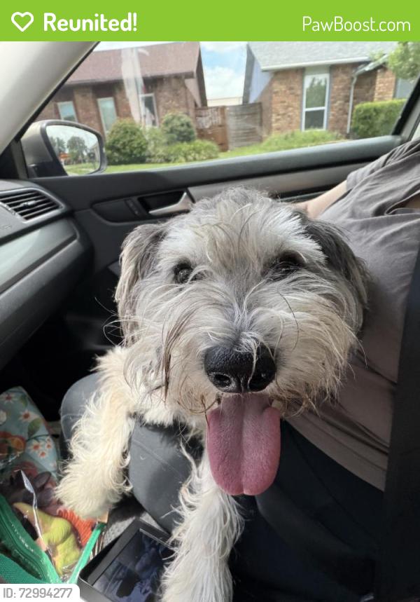 Reunited Unknown Dog last seen Near Furneaux Ln, Carrollton, TX 75007, USA, Carrollton, TX 75007