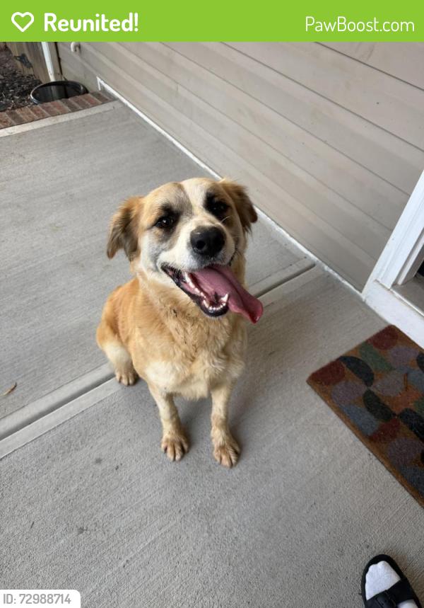 Reunited Unknown Dog last seen Rocky River Rd W , Charlotte, NC 28215