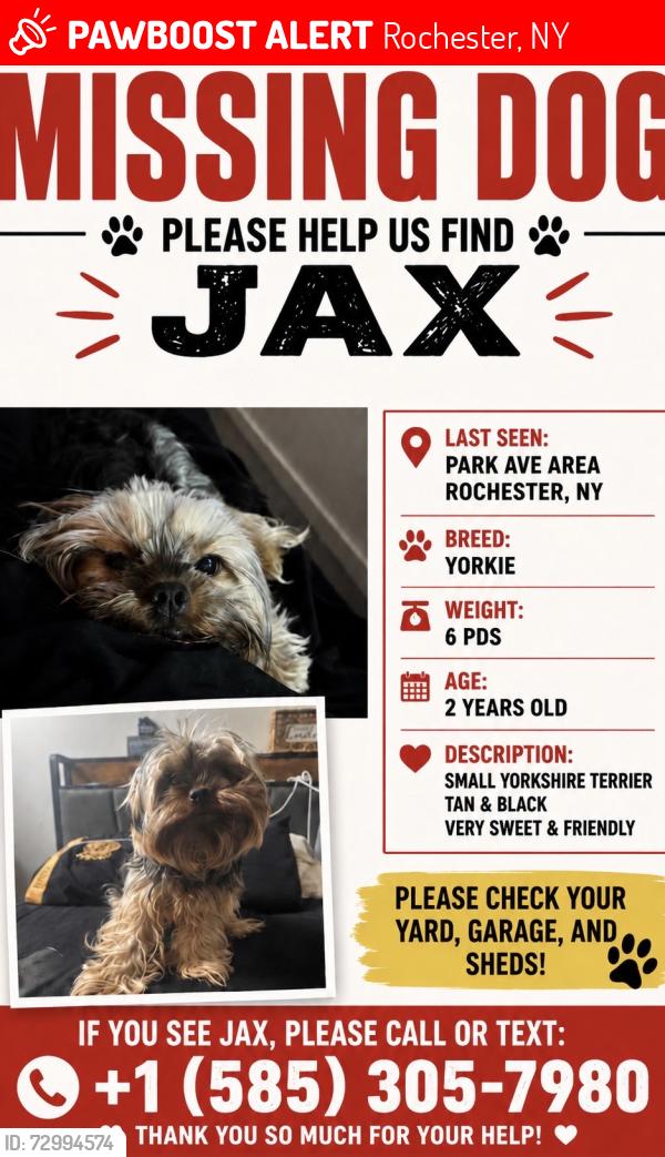 Lost Male Dog last seen thayer & wesminster, Rochester, NY 14607