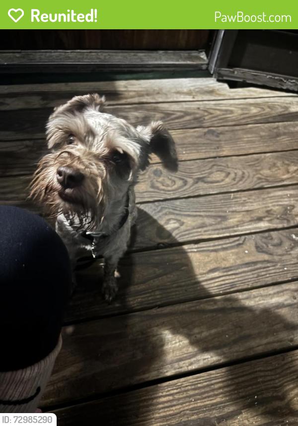 Reunited Male Dog last seen Buffalo trail , San Antonio, TX 78238