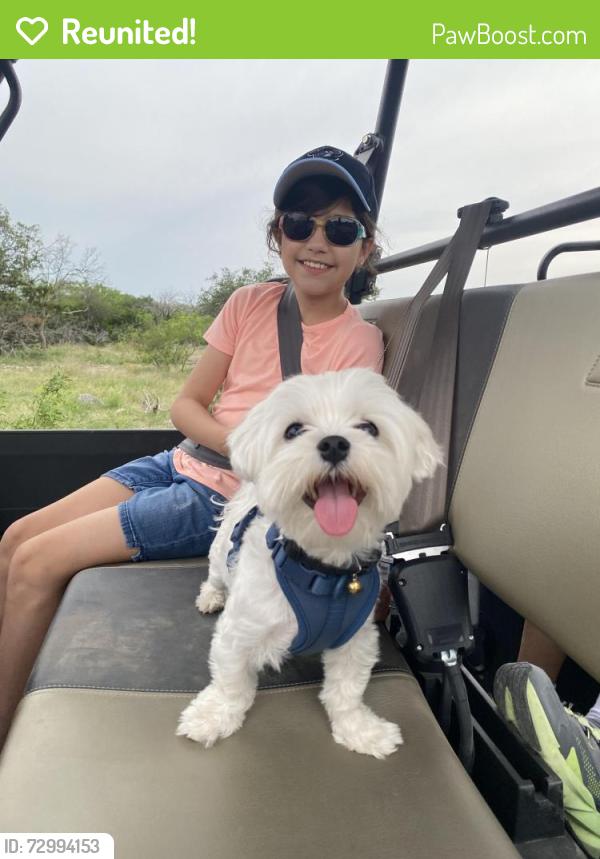 Reunited Male Dog last seen CVS, United Methodist church, lake side, , Seabrook, TX 77586