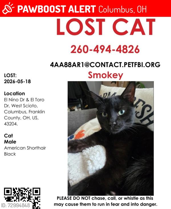 Lost Male Cat last seen Hague & El toro area, Monterey neighborhood, Columbus, OH 43204
